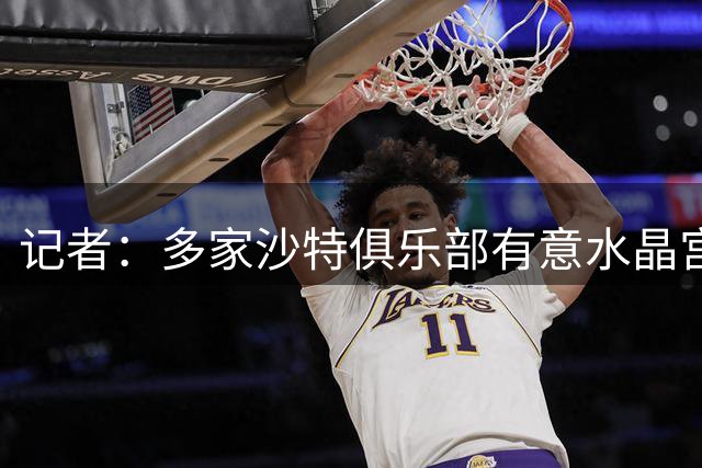 记者：多家沙特俱乐部有意水晶宫前锋伊斯梅拉·萨尔